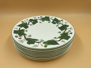 Set Of 8 Wedgewood Napoleon Ivy Green Dinner Plates Made In England 10 3/8”