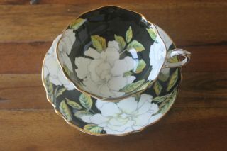Paragon Gardenia Black Gold Teacup Tea Cup Saucer Double Warrant