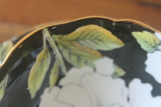 Paragon Gardenia Black Gold Teacup Tea cup Saucer Double Warrant 3