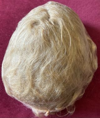 Antique 10” Mohair Wig For Antique French Or German Bisque Doll