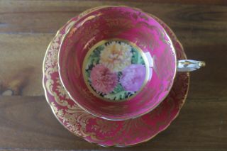 Paragon Chrysanthemums Burgundy Gold Teacup Tea Cup Saucer Black Pink Yellow
