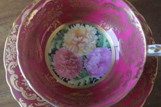 Paragon Chrysanthemums Burgundy Gold Teacup Tea Cup Saucer black pink yellow 3
