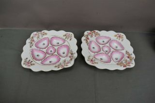 Marx & Gutherz Carlsbad Gold Floral & Pink Oyster Plate Set Of 2