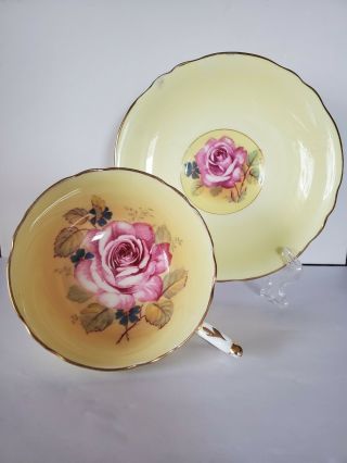 Paragon Double Warrant Teacup&saucer Cabbage Rose Yellow As - Is