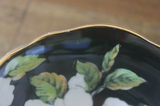 Paragon White Gardenias Black Gold Teacup Tea Cup Saucer Double Warrant 2