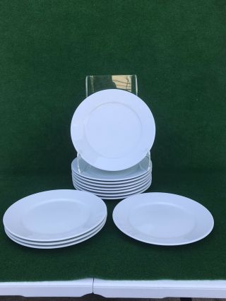 Set Of 12 Apilco France Porcelain Classic Whiteware/sevres Dinner Plate 11 "