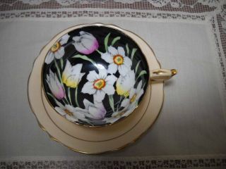Paragon Peach Tulip Daffodil Black Teacup & Saucer 1930 