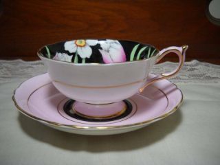 Paragon Pink Tulip Daffodil Black Teacup & Saucer 1930 ' s Queen Appointment Excel 2