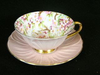 Shelley Maytime Blossom Chintz Pink Oleander Gold Teacup & Saucer Flowers