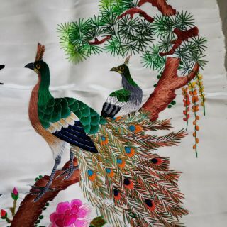 Vintage Asian Silk Hand Embroidery Bird/Peacock Panel 3
