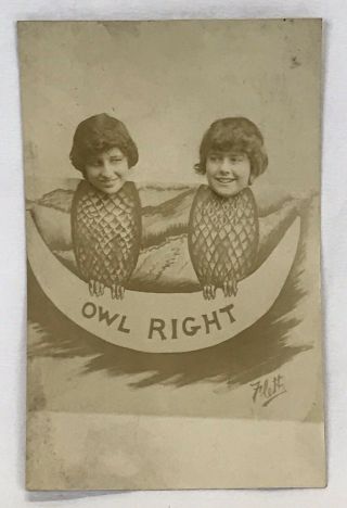 Antique Vintage Postcard Souvenir Owl Right Boardwalk Atlantic City Nj - Flett
