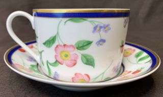 Tiffany And Co American Garden Limoges France Cup And Saucer Individually