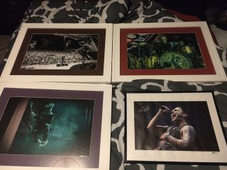 Shinedown Signed Autograph Canvas Print Set By Rob Fenn Limited Edition