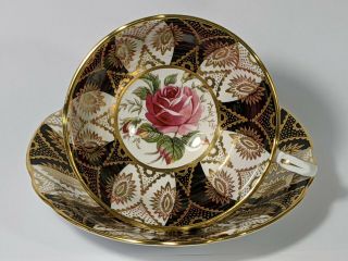 Vintage Paragon Black Gold Cup & Saucer,  Cabbage Rose,  Panels,  Gold Gilt & Trims