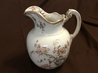 Antique Maddock’s Lamberton Royal Porcelain Floral Pitcher