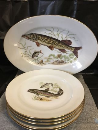 Antique 6 Piece Israel Naaman Fish Serving Porcelain Plates Set With Platter 14”