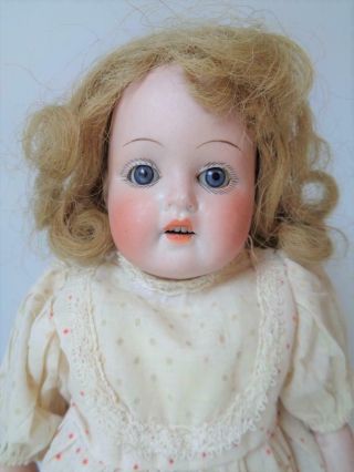 Antique P.  Sch.  Germany 12 " Bisque Head Doll Kid Leather Body Petite Cabinet Sz