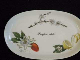 Apilco Elysian Garden 15 " Oval Serving Plate Platter Passiflora Edules France