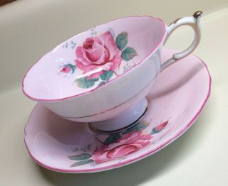 Paragon Pink & White Cup & Saucer With Cabbage Rose Bone China Double Warrant