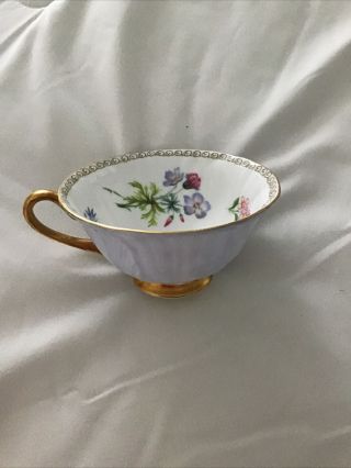 Shelly China Wild Flowers Blue Vintage Tea Cup England