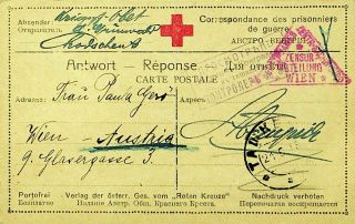 Russia 1918 Wwi Red Cross Prisoners Of War Pow Censored Postcard To Wien Austria