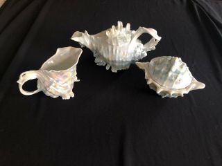 Royal Bayreuth Tea Set Spiky Nautilus Iridescent Conch Sea Shell