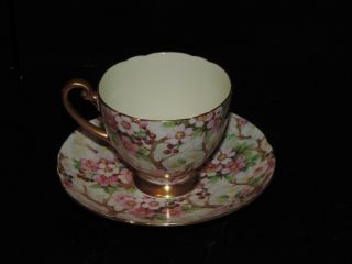 Lovely Shelley Maytime Teacup & Saucer,  Ripon Shape,  Great Gold