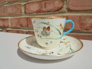 Antique Royal Worcester Porcelain Cup & Saucer Hp Butterflies Insects Plants