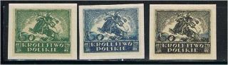 Poland (1916 - 18) - Proposed Stamp For The Kingdom Of Poland (8) - Mngai Xf