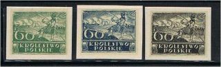 Poland (1916 - 18) - Proposed Stamp For The Kingdom Of Poland (6) - Mngai Xf