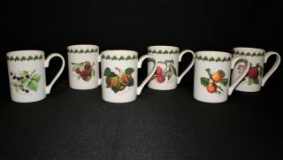 Set Of 6 Portmeirion Pomona Susan Williams - Ellis 12oz Coffee Tea Tankard Mugs