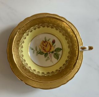 Paragon Fine Bone China England - Yellow Cabbage Rose Tea Cup & Saucer
