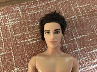 2011 Barbie Fashionistas Ryan Ken Doll Brunette Rooted Hair Articulated Arms