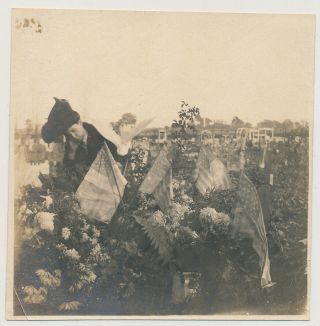 Sad Woman At Military Cemetery Us American Flags On Graves Vtg 10 
