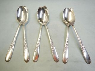 6 Endearable Oval Soup/dessert Spoons - Elegant 1954 Rogers Fine Floral