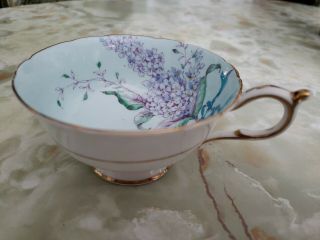 Paragon Orphan Tea Cup Only Double Warranted Lt.  Green With Purple Lilac Bouquet
