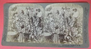 Antique 1896 Stereoview Card - Black Americana - Cotton Plantation Scene In Georgia