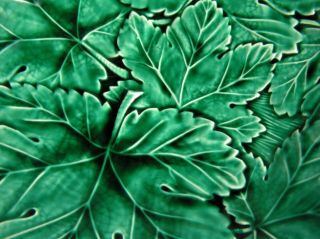 Vintage WEDGEWOOD & BARLASTON Etruria MAJOLICA Green Leaf 10 3/4 