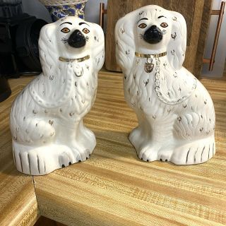 Staffordshire Beswick England King Charles Spaniel Dog Ceramic Porcelain
