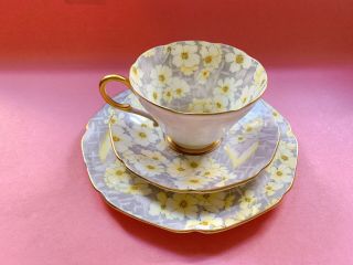 Paragon By Appointment Lilac Purple Teacup Trio Flower Sought After