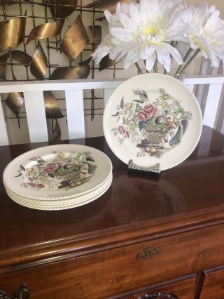 Johnson Brothers Bird Of Paradise Set Of 6.  10 Inch Dinner Plate
