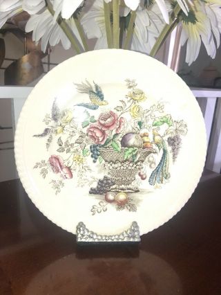 Johnson Brothers Bird Of Paradise Set Of 6.  10 Inch Dinner Plate 2