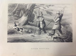 Otter Hunting,  Antique Print C1868,  Hunting,  Dogs,  Countryside,  Rural