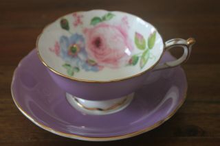 Paragon Purple Large Cabbage Pink Rose Gold Tea Cup Teacup Saucer Double Warrant