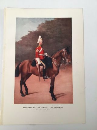 Sargeant Inniskilling Dragoons,  Army,  Antique Print 1900 South Africa Transvaal