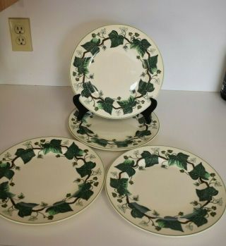 Set Of 4 Wedgwood Napoleon Ivy Green Dinner Plates 10 - 1/4 " - Made In England