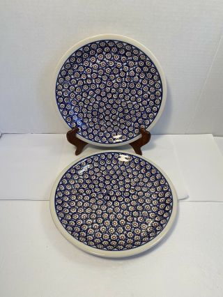 Boleslawiec Pottery Dinner Plates Set Of 2 Bow28 9.  5” Blue