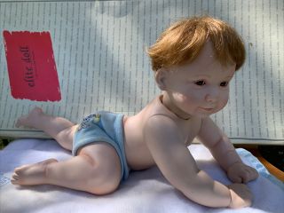 Ashton - Drake Snug As A Bug In A Rug Full Porcelain Doll,  Boy,  16 " Elite Doll 129