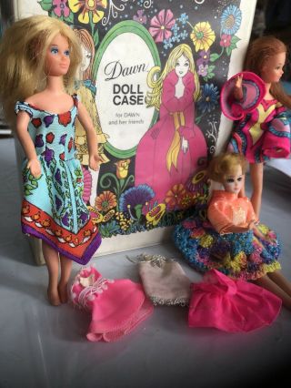 Dawn Dolls And Case 10 Peices