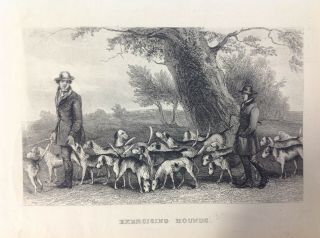 Exercising The Hounds,  Antique Print C1868,  Hunting,  Dogs,  Countryside,  Rural